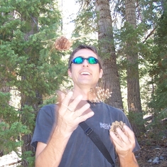 Juggling pine cones