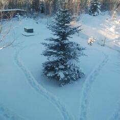 Brother Joe makes snow hearts in Susie's backyard for her to see outside her bedroom window