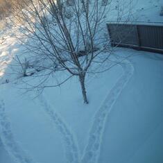 Brother Joe makes hearts in the snow in Sue Ann's back yard so she can see out her bedroom window