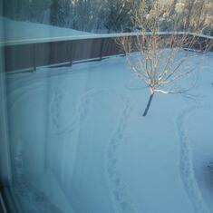 Brother Joe makes hearts in Sue Anns back yard for her to see out her bedroom window