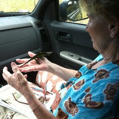 Grandmother not scared of Chameleon in Hawaii!