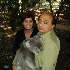 Lone Pine Koala Sanctuary 038