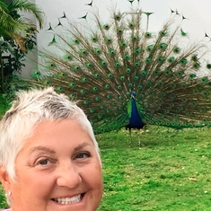 She was so thrilled to see the peacocks roaming Coral Gables, Miami when we visited for graduation