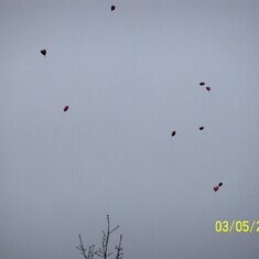 balloons in the air