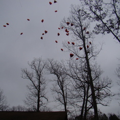 Balloons on their way (2)