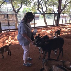 Feeding baby animals in TX - October 2018