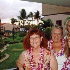 Hawaii with friends (and dialysis equipment).