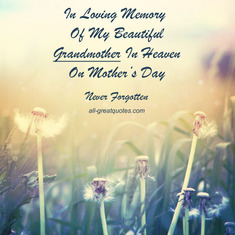 In-Loving-Memory-Of-My-Beautiful-Grandmother-In-Heaven granny