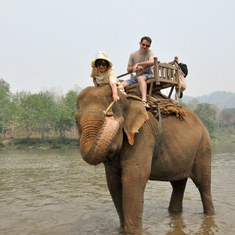 2012 Laos (elephant camp near Luang Prabang)