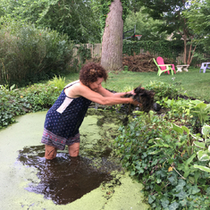 2018 Pond maintenance (she loved getting in there)