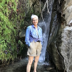 Maindenhair Falls, Hellhole Canyon, Anza Borrego, California, March 2017