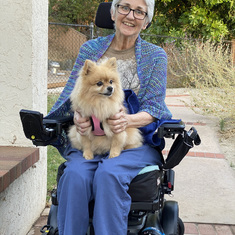 With a friend's, pom, "Xena" who loved to ride in Suzy's chair.