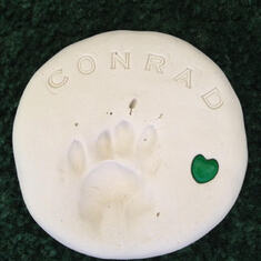 Conrad's footprint; died 5/27/15