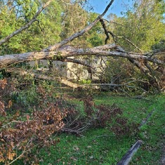Tree fell on 5185 house during the Hurricane 