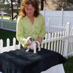2008 Tammy sells puppies (3)