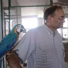 With Neeli his pet Macaw in Kolkata, 2007.