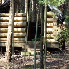 Orcas: Dad's log cabin