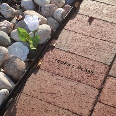 Tedra's Memorial Brick from Hospice Donations. Thank You!