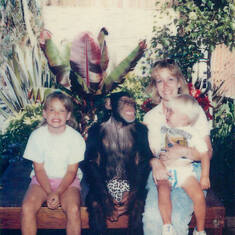 Terri Loves the Great Apes - Chimp in this case... Ryan is Not too sure! 
