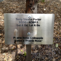 Terry's memorial tree plaque