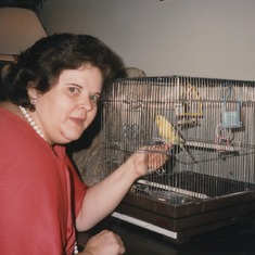 With Calico, one of our many parakeets over 40 years . . .