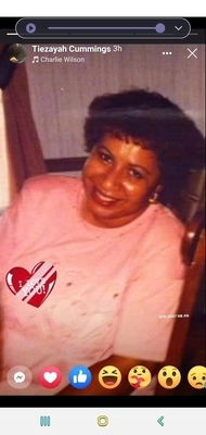 Theresa Annette  Newby
