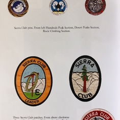 Theresa's accomplishments (patches and pins)