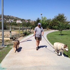 Justa walking the dogs :)
