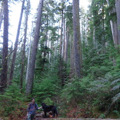 In his element: hiking with Jazz in Opal Creek, one of the prime examples of western Oregon old growth forests.