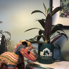 I keep your Krohn mug (now planter!) on my desk and think of you whenever I see it.