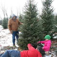 Gabby, Josh and Papa prepare to cut the tree of choice.  No more super tall trees!