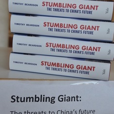 Stumbling Giant book event 2013