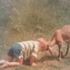 Josh her eldest headbutting his goat Billy Bob..