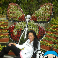 butterfly park 005