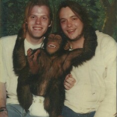 Todd, James & the Monkey