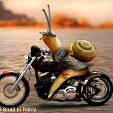 just a motocycle with a snail in memory