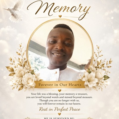 Mr. Tolulola Ibukun Ogunmade