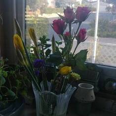 Bouquet of "magic flowers" (daffodils)