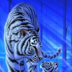 tiger-wallpaper-10690532