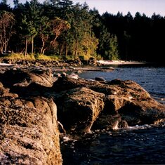 1997: Portland Island, Ty’s photography