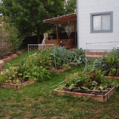 2012: Longmont, Colorado vegetable garden at home