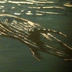 2011: “whale“ by Tyrone Guthrie