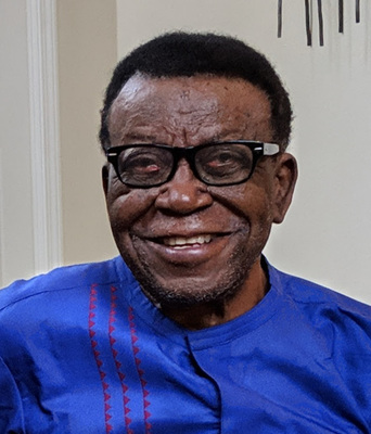 Dr. Timothy (T.I.) Igwe