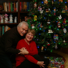 The Iveys at Christmas - our favorite time of the year.