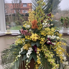 Orchid Tribute 1st March 2021
