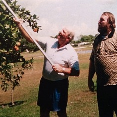 Dad picking oranges with Todd.