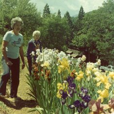 Mom & Cora - Look at those iris' 1981