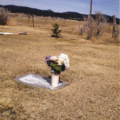 This is our mother and grandmothers grave site at Sunset Memorial Park, near Butte Montana. ally's tree is in the back ground and as it grows will eventually over look their grave site