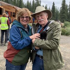 Alaska Cruise - Summer of 2019 - with sled dog pups!