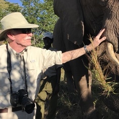 Up close and personal at the Elephant Camp